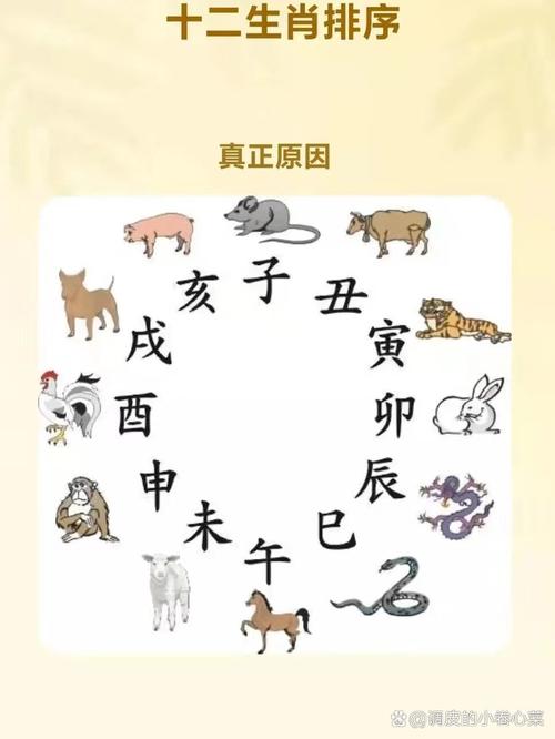 今期生肖有学问是什么生肖呢,今期生肖有学问是什么生肖呢图片