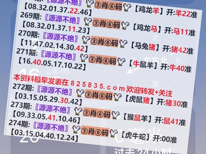 新澳门2025年开奖记录,新澳门2025年开奖记录表