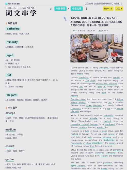 轻松掌握cabling翻译：不同语境下的准确释义