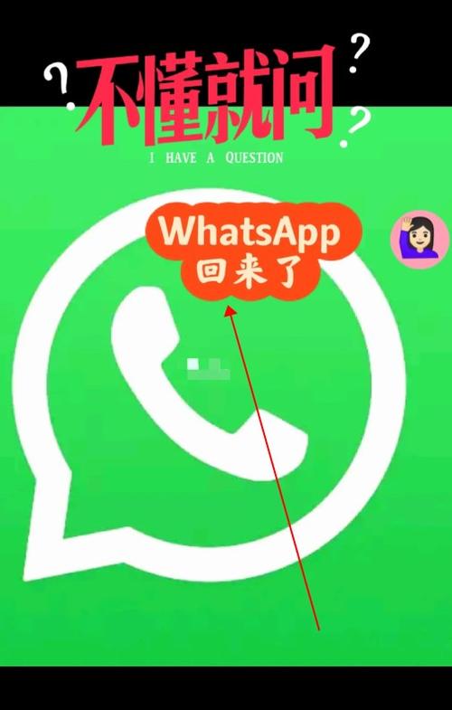whatsapp国际版官网,whatsapp国际版官网直卞cc