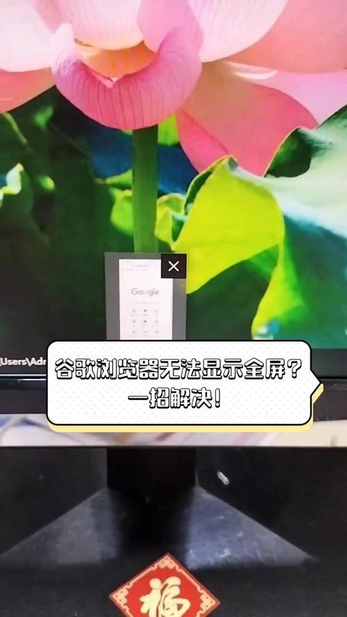 谷歌浏览器为什么打不开网站,谷歌浏览器为什么打不开网站手机