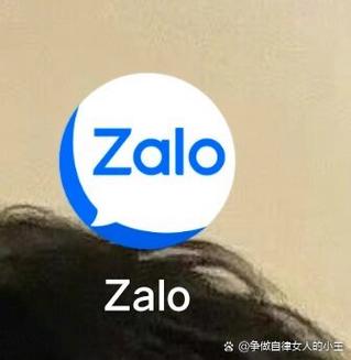 zalo越南版下载安装,zalo 越南下载zalo中文