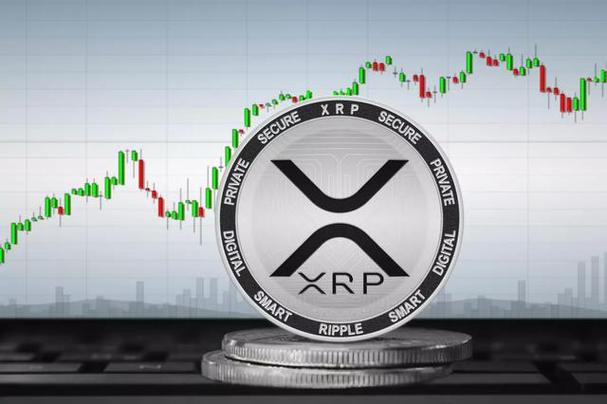 瑞波币提币标签是什么,瑞波币提币标签是什么东西