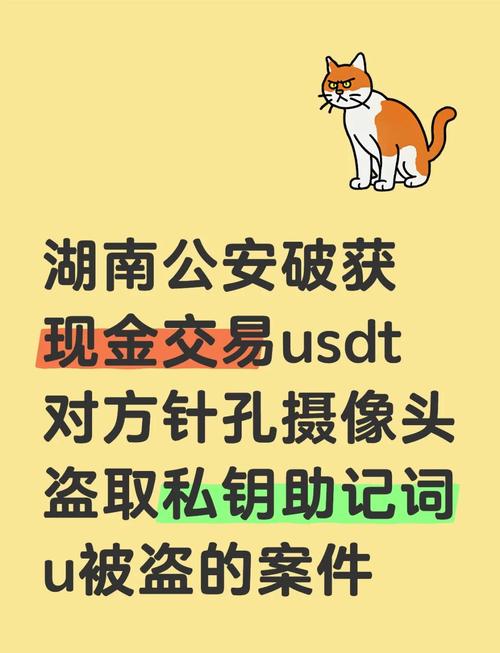 帮助诈骗分子买泰达币,网上买卖泰达币被刑警抓了