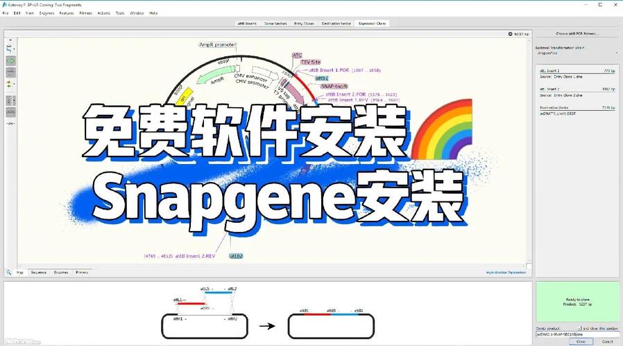 snapchat正版安装包,snapchat软件安装最新版