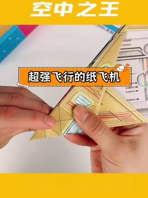 纸飞机之王第一名,世界上飞得最远的纸飞机