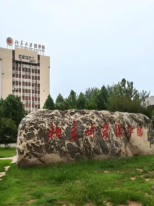 北京好的医科大学,北京比较好的医学大学