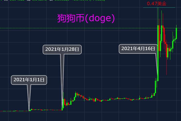 狗狗币2024会涨到多少,2021年狗狗币还会涨价吗