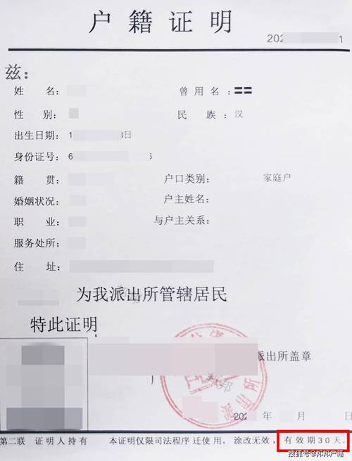 开户纸飞机软件,扒户籍软件查户口软件