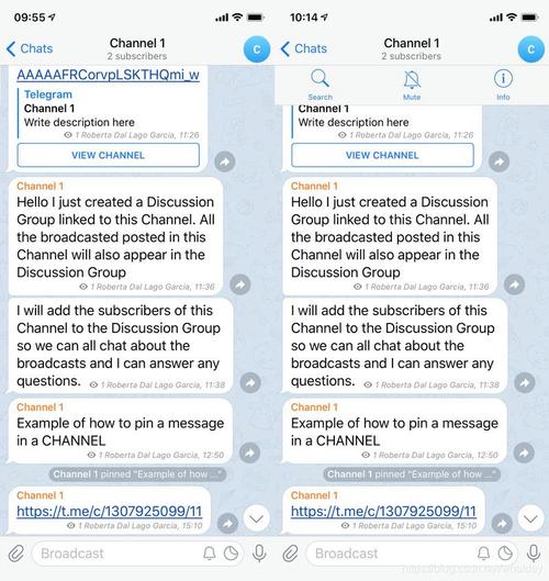 在中国怎么上telegeram的简单介绍