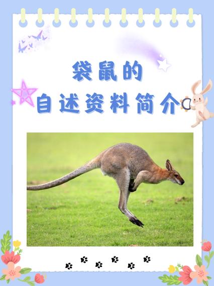 关于打一动物的谜语袋鼠的信息