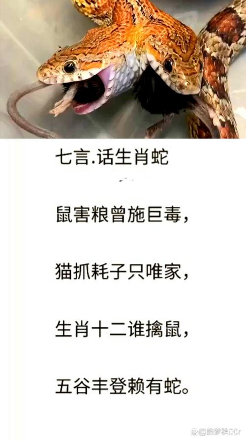 贪得无厌打一生肖谜底,贪得无厌是什么动物有哪几肖