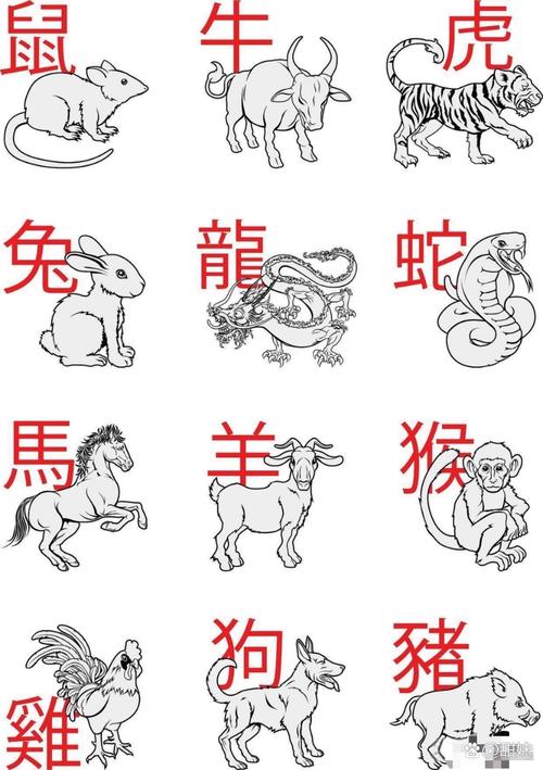 穿针走线打一最佳动物,穿针引线的动物是什么生肖
