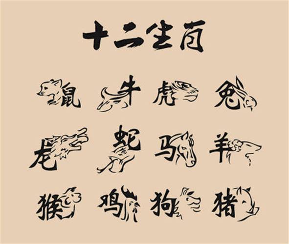 分清打一最佳动物,分清界线是什么生肖