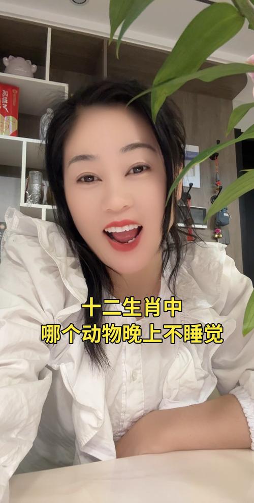 十二生肖什么动物站着睡觉,十二生肖什么动物站着睡觉一天到晚都饿
